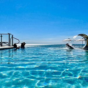 Park Hotel Pineta&Dependance Suite